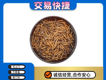 陇南礼品回收虫草.jpg